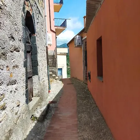 Il Caligo *